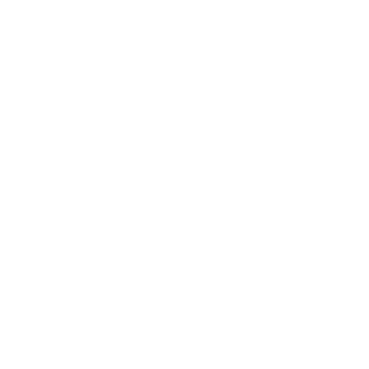 Logo BARNES